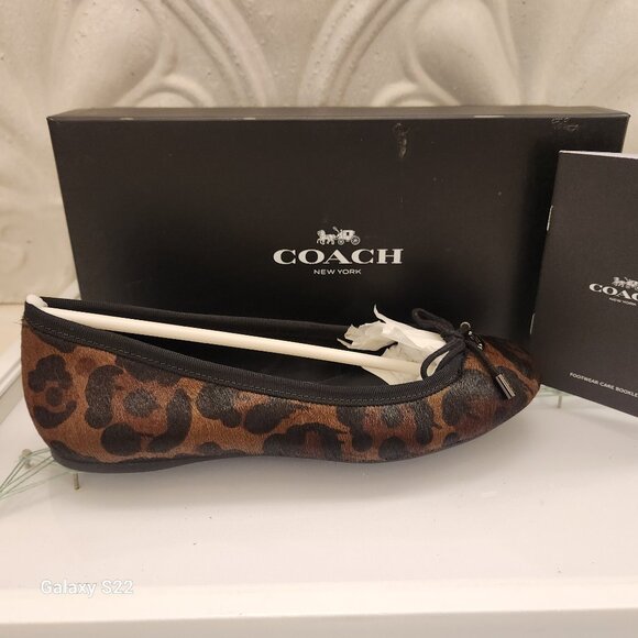 Coach "Lara Wildbeast" Print Flats. Haircalf. NIB. Size Various - Picture 1 of 12